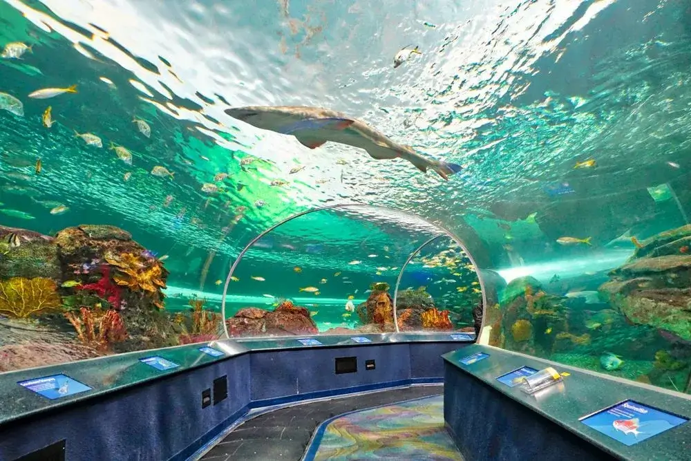 replica aquarium toronto